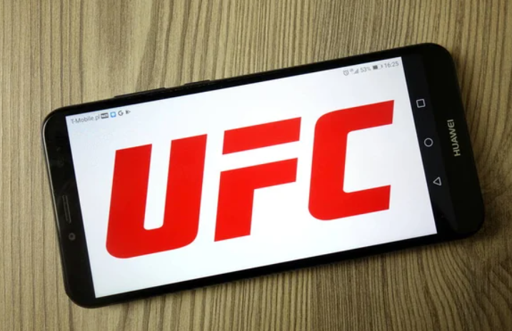 UFC Rounds
